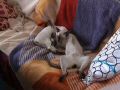 DSC00156.JPG