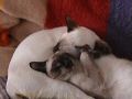 DSC00160.JPG