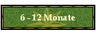 6 - 12 Monate